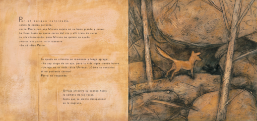 ZORRO - Imagen 2
