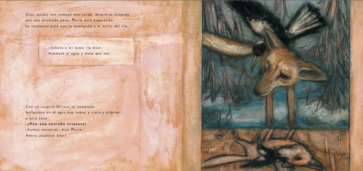 ZORRO - Imagen 3
