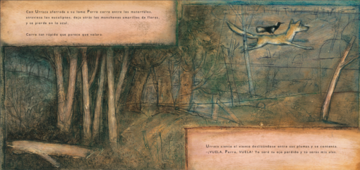ZORRO - Imagen 4