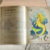 BESTIARIO DE SERES MÁGICOS CHILENOS - Imagen 3