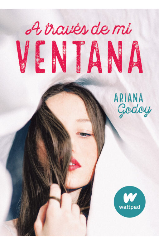 A TRAVES DE MI VENTANA (TRILOGIA HERMANOS HIDALGO 1)